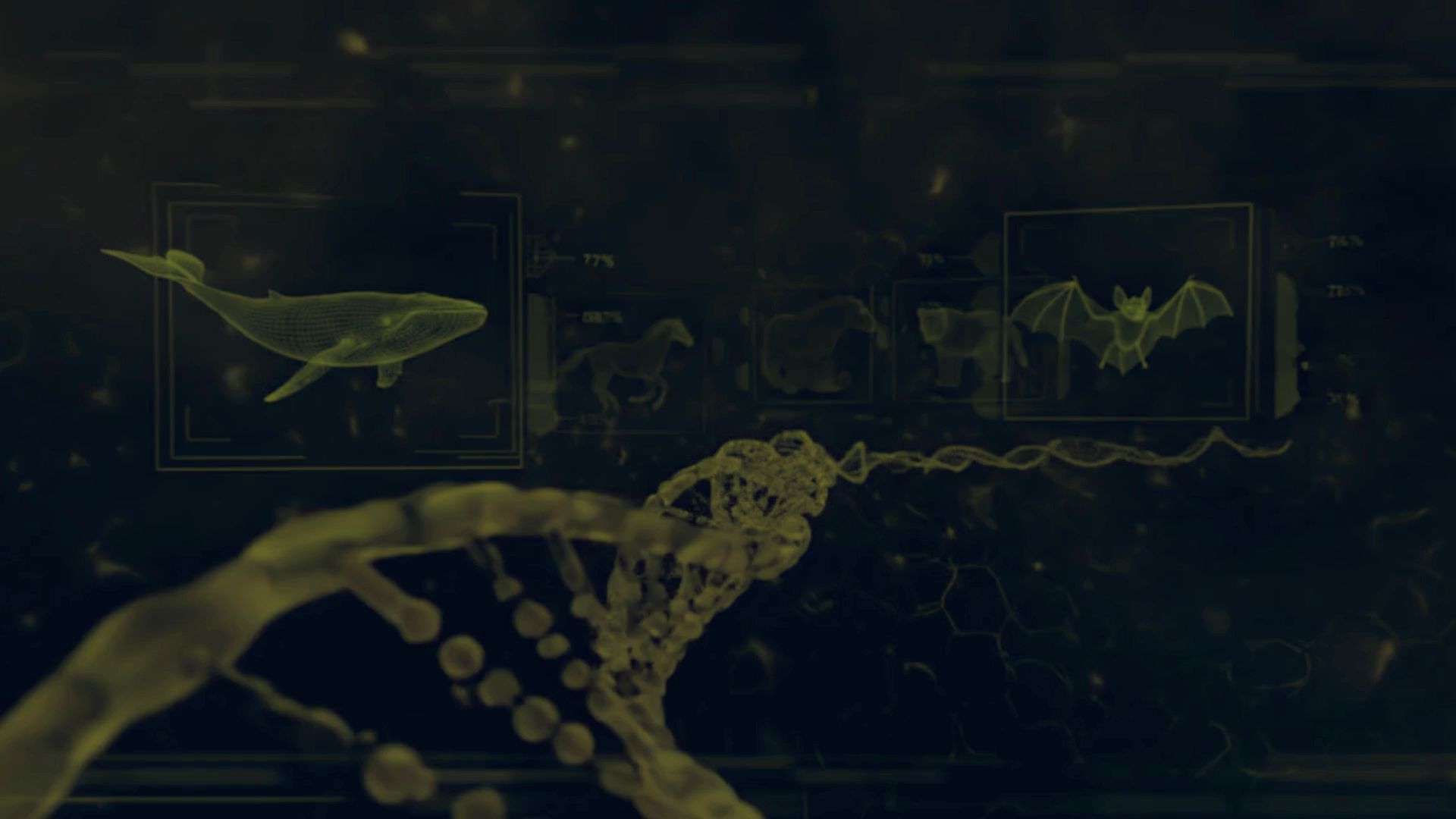 Background video preview image